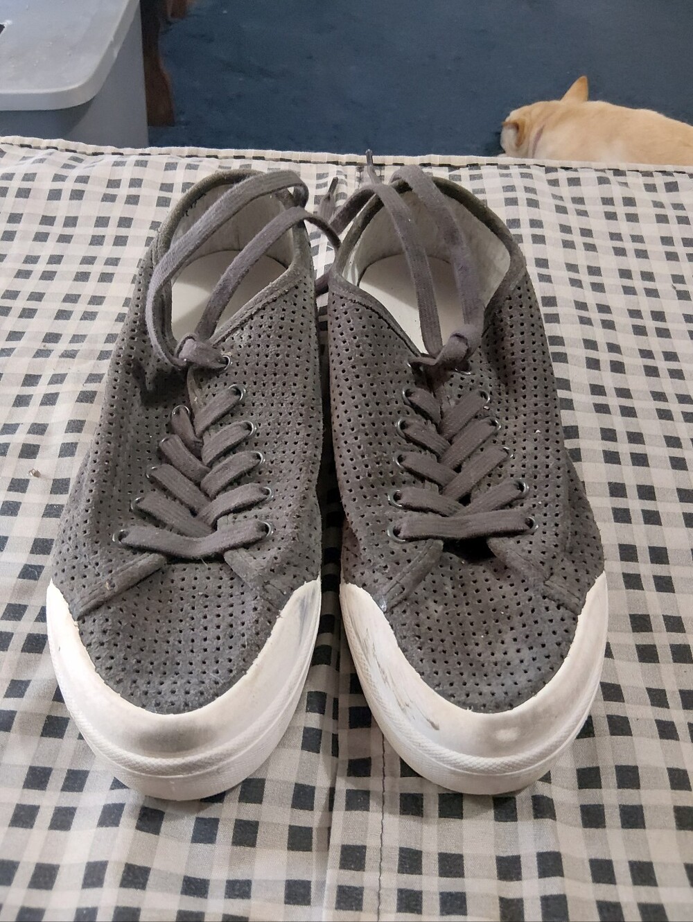 Womens Grey Eag N Bone Perforated Casual Sneakers - Comfortable Everyday Style